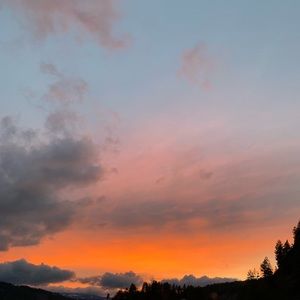 Meet your Posher, Tabi